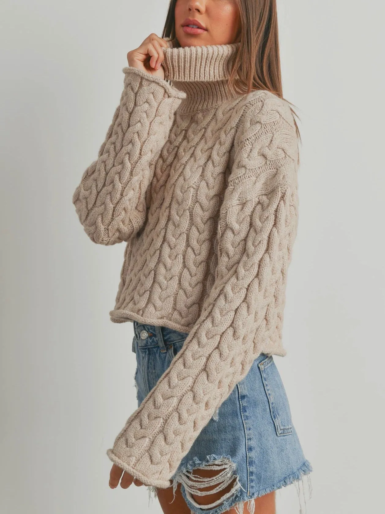 Braid Turtle Neck Long Sleeve Sweater