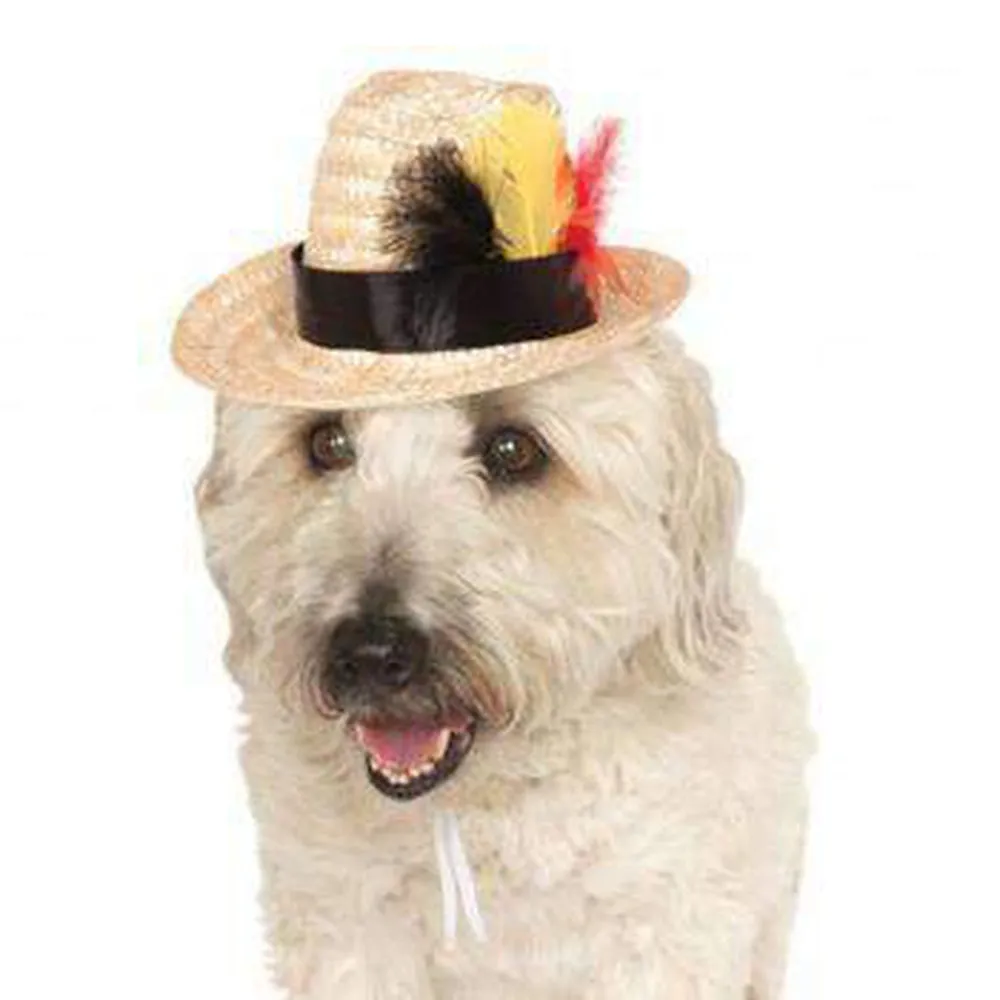 Fedora Dog Hat with Feathers