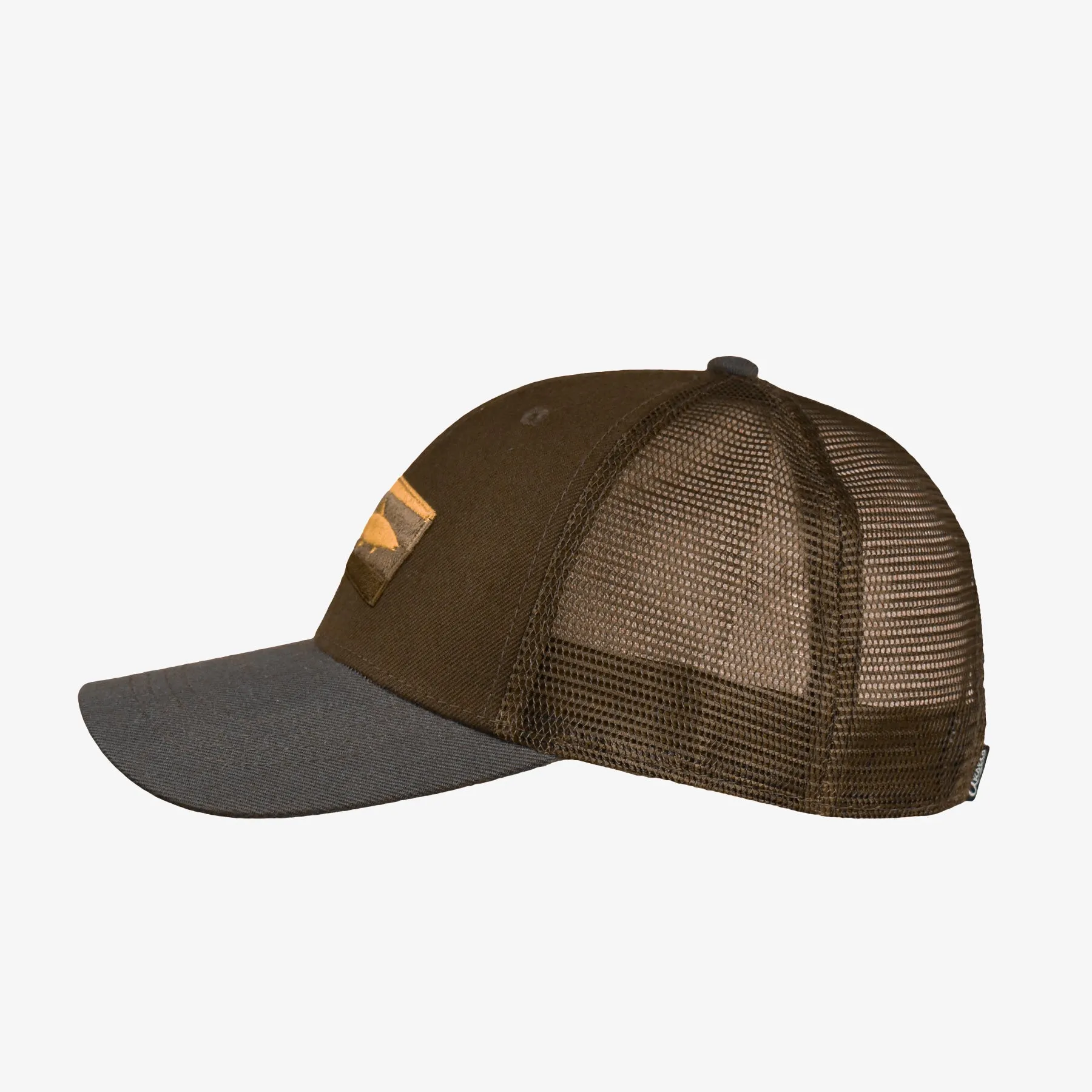 Low Pro Montana Horizons Fish Snapback Hat