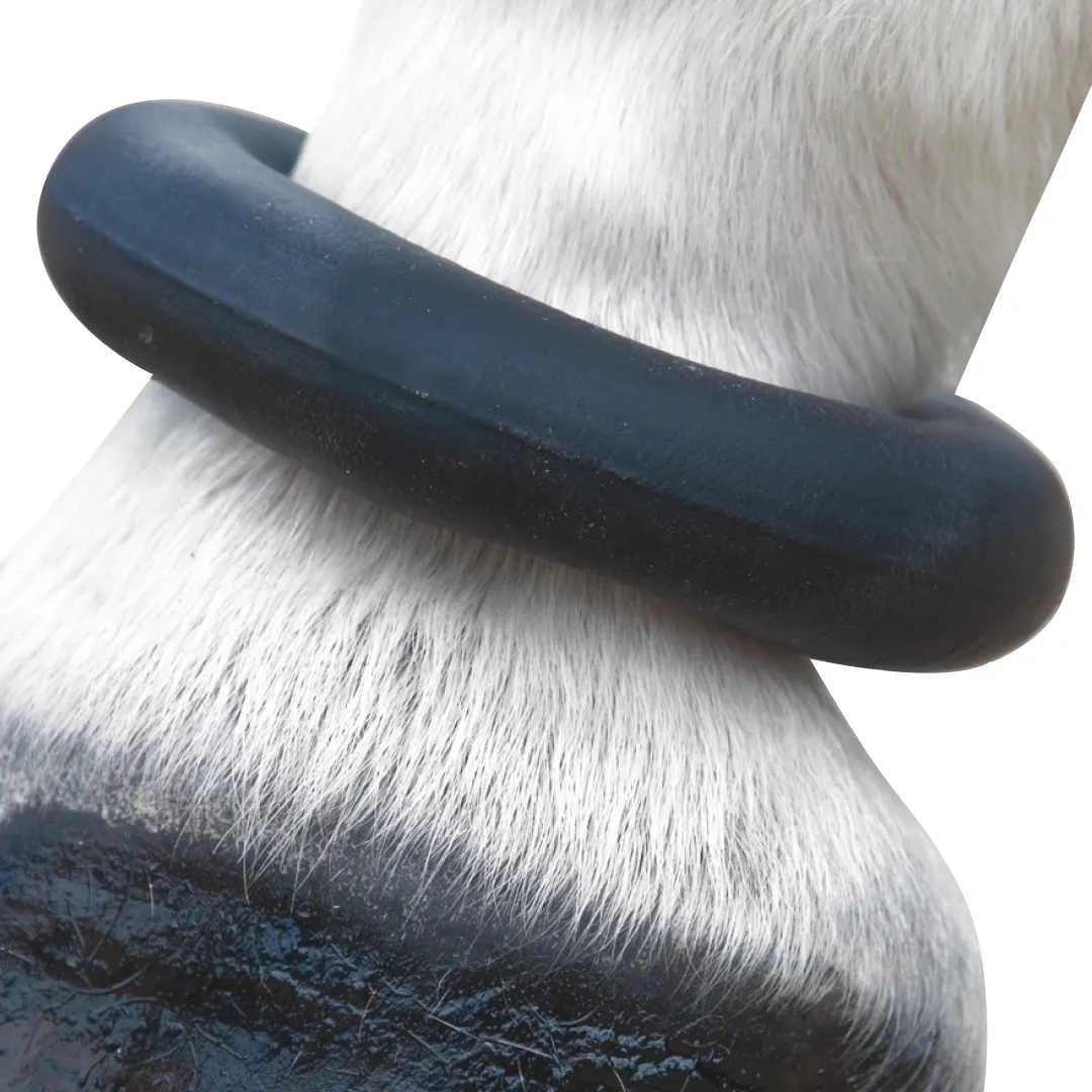 Shires Fetlock Ring