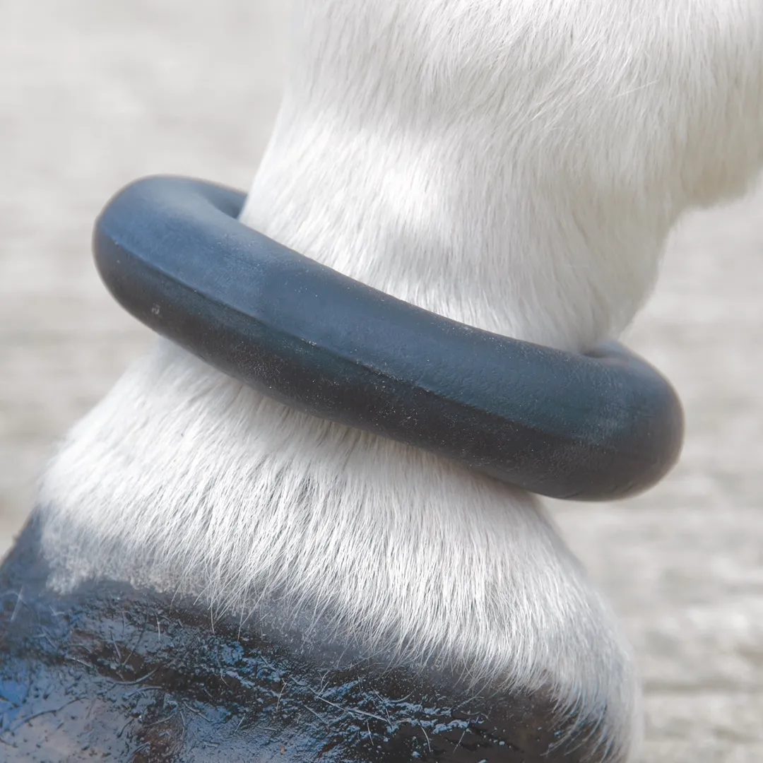 Shires Fetlock Ring